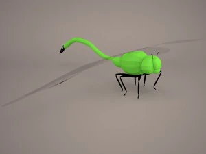 Cartoon dragonfly 1 3D Model