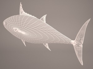 Fish mounted 3D Model