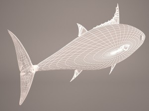 Fish mounted 3D Model