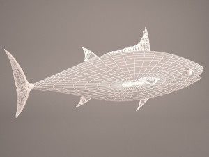 Fish mounted 3D Model