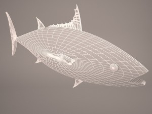 Fish mounted 3D Model