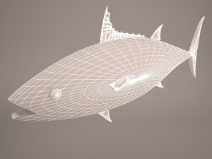 Fish mounted 3D Model