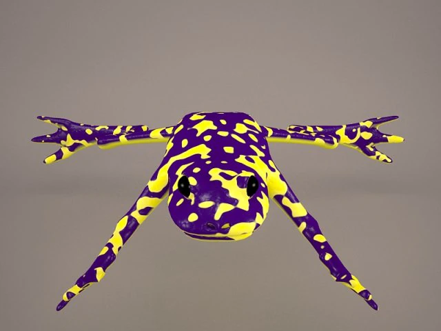 Frog animal 3D Model .c4d .max .obj .3ds .fbx .stl .blend 