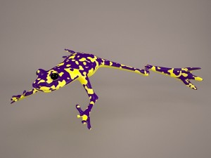 Frog animal 3D Model