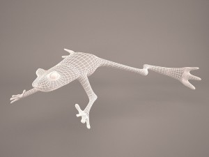 Frog animal 3D Model
