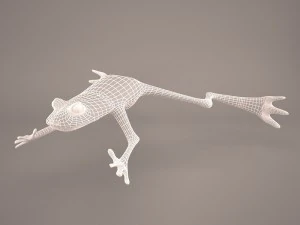 Frog animal 3D Model