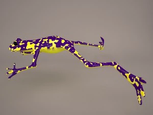 Frog animal 3D Model