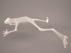 Frog animal 3D Model
