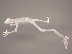 Frog animal 3D Model