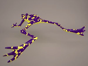 Frog animal 3D Model