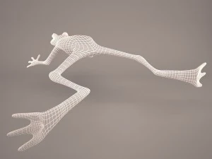 Frog animal 3D Model