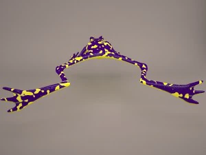 Frog animal 3D Model