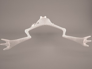 Frog animal 3D Model