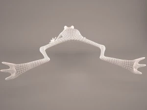 Frog animal 3D Model