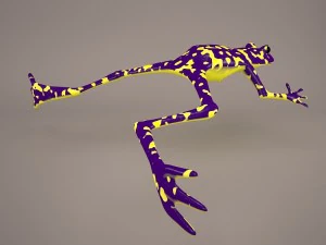 Frog animal 3D Model