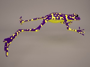 Frog animal 3D Model