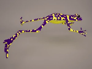 Frog animal 3D Model