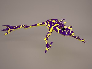 Frog animal 3D Model