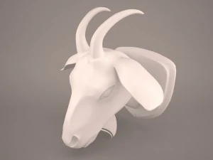 Głowa kozy Model 3D