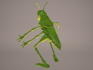 Cartoon grasshopper 1 3D Модель