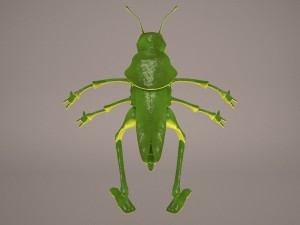 Cartoon grasshopper 1 3D Модель