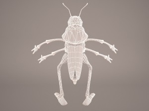 Cartoon grasshopper 1 3D Модель