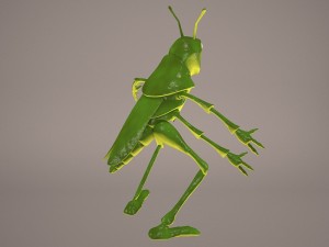Cartoon grasshopper 1 3D Модель