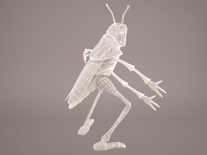 Cartoon grasshopper 1 3D Модель