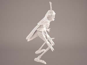 Cartoon grasshopper 1 3D Модель
