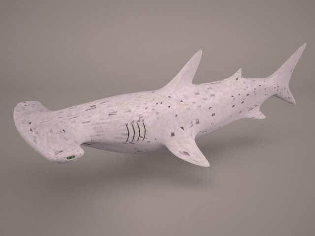 Hammerhead shark 3D Модель .c4d .max .obj .3ds .fbx .stl .blend 