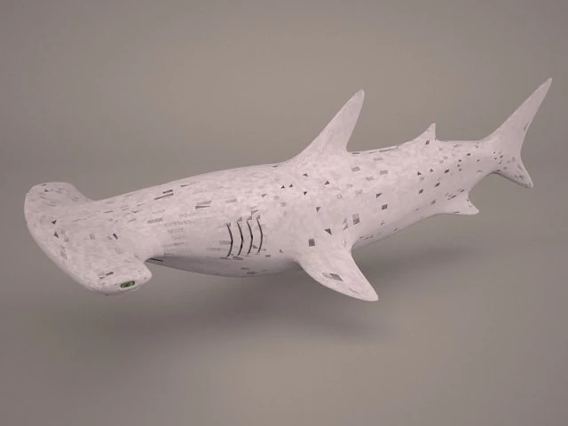 Hammerhead shark 3D Model .c4d .max .obj .3ds .fbx .stl .blend 