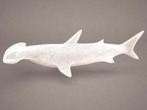 Hammerhead shark 3D Модель