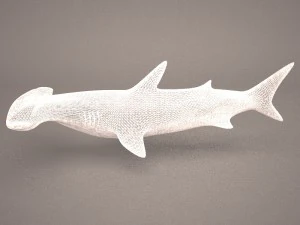 Hammerhead shark 3D Model