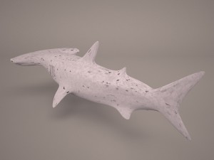 Hammerhead shark 3D Модель