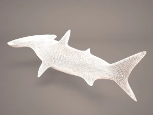 Hammerhead shark 3D Model