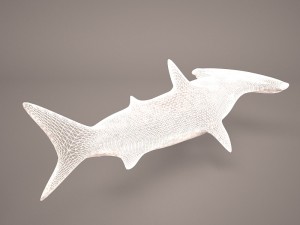 Hammerhead shark 3D Модель