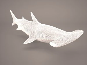 Hammerhead shark 3D Model