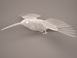 Hummingbird Modelo 3D