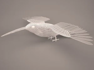 Hummingbird 3D Model