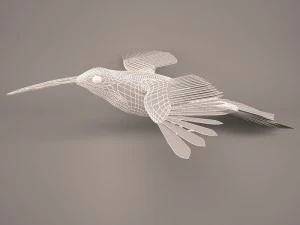 Hummingbird 3D Model