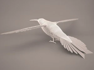 Hummingbird 3D Model