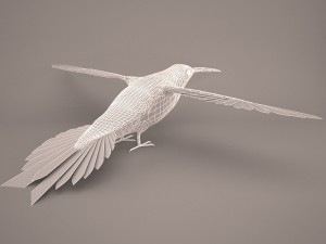 Hummingbird Modelo 3D