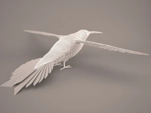 Hummingbird 3D Model