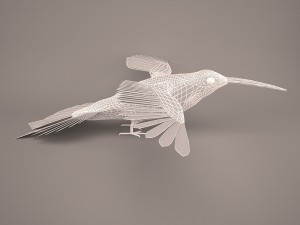 Hummingbird Modelo 3D