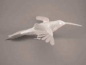 Hummingbird 3D Model