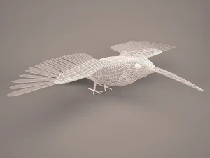 Hummingbird 3D Model