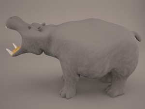 Hippopotamus 3D Model