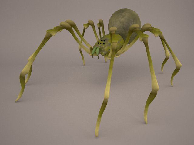 Phoneutria spider Model 3D .c4d .max .obj .3ds .fbx .stl .blend 