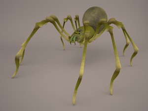 phoneutria spider 3D Model