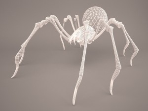 Phoneutria spider Model 3D
